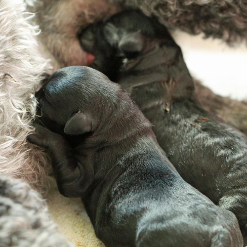 Kerstin Knut 2024 04 07 lu