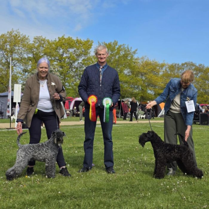 BIR och BIM Roskilde 2025 05 11 700x700