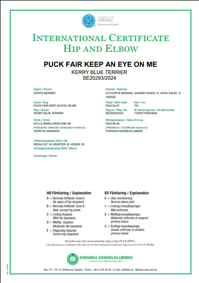 Intyg HD rtg Kerstin lu