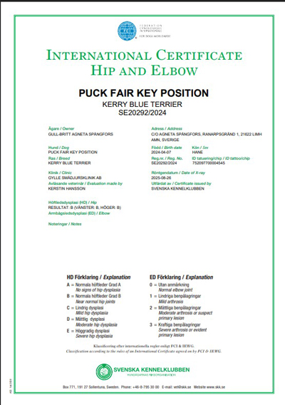 Intyg HD rtg Sixten lu