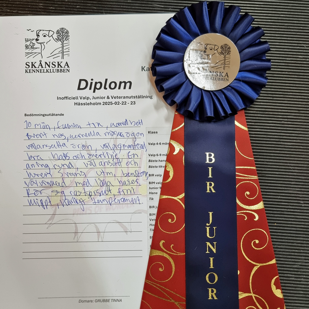 Kerstin kritik rosett lu