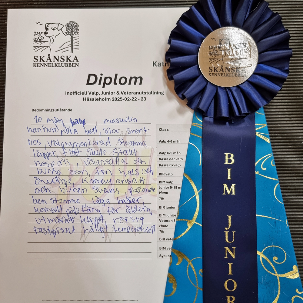 Sixten kritik rosett lu