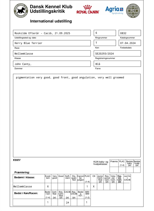 roskilde 2025 09 21 2